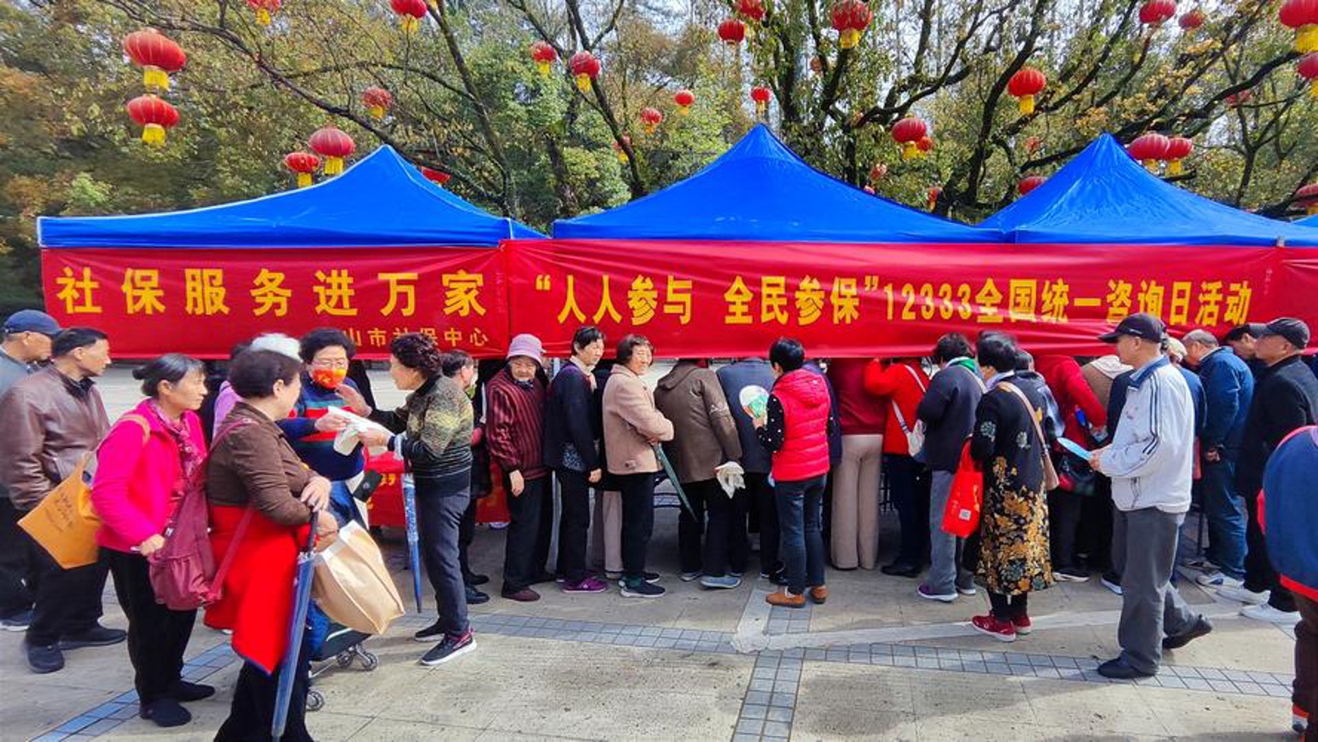 震扬咨询